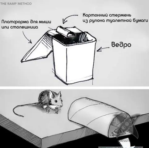 Виды мышеловок
