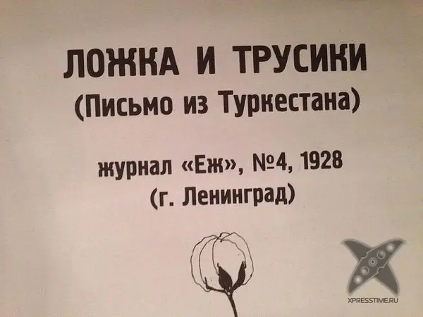 Ложка и трусики