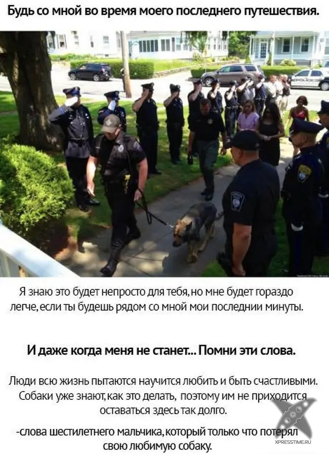Берегите своих питомцев