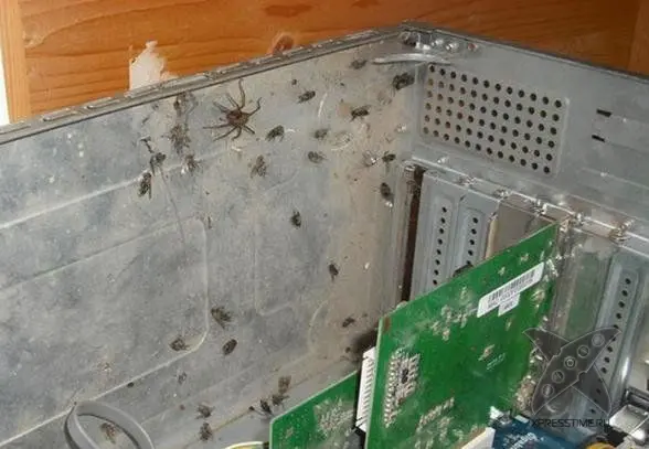Кошмар сисадмина