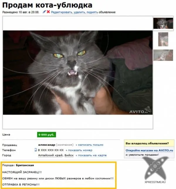Смешные рекламы на Avito