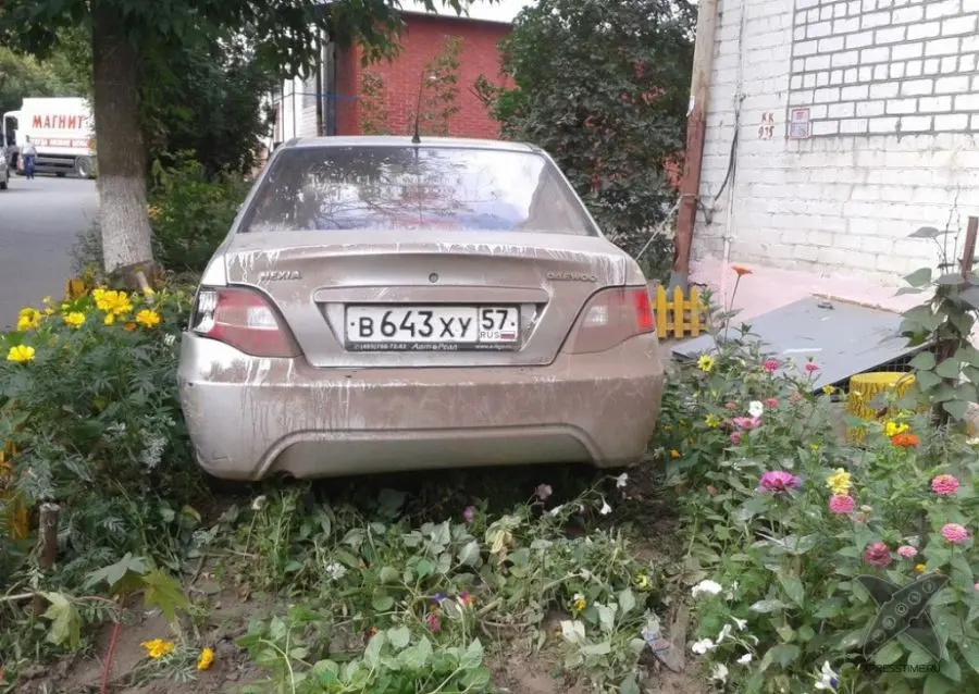 Я паркуюсь где хочу