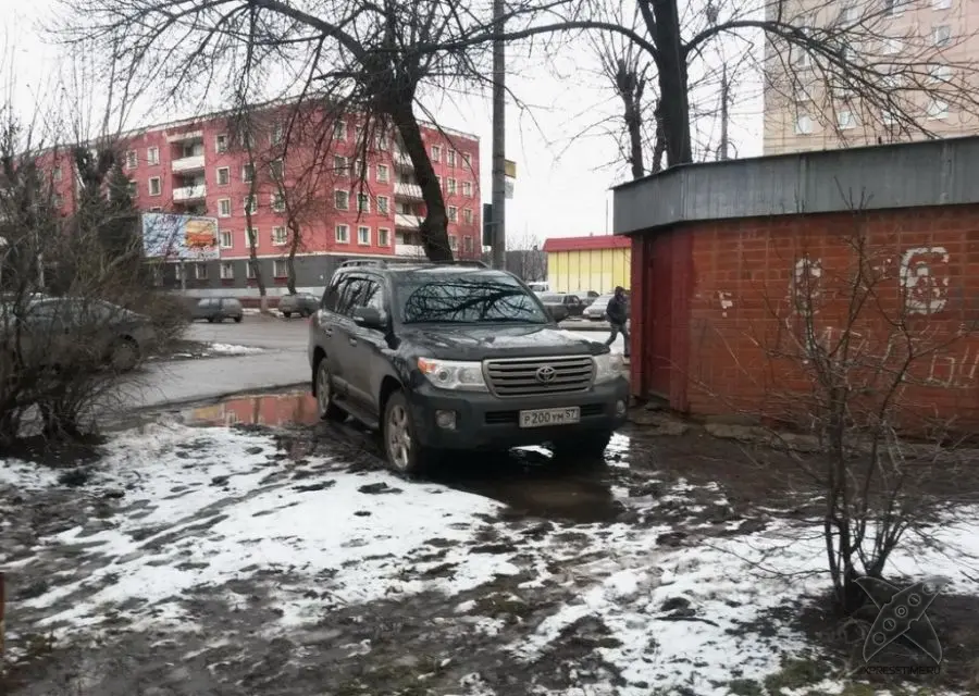 Я паркуюсь где хочу