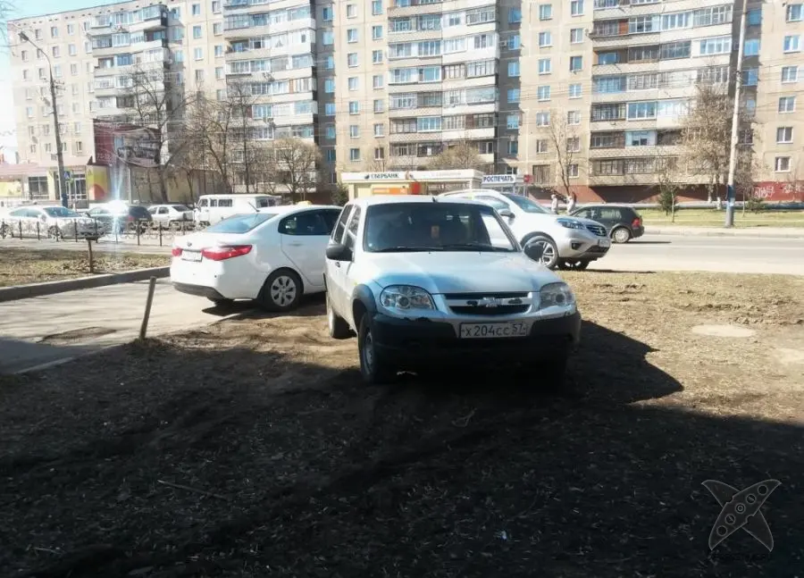Я паркуюсь где хочу