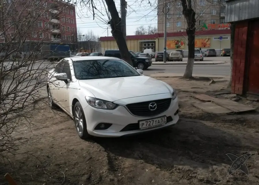 Я паркуюсь где хочу