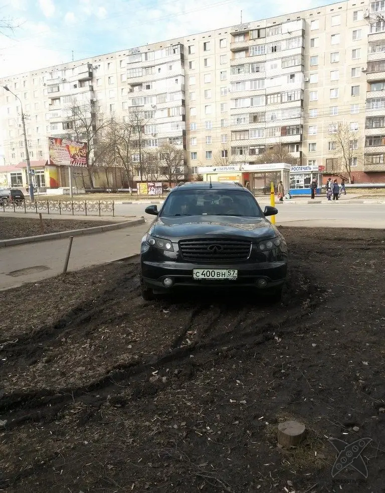 Я паркуюсь где хочу