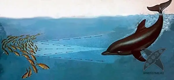 Интересные факты о воде