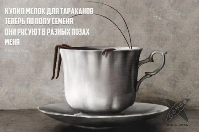 Необычные рифмы