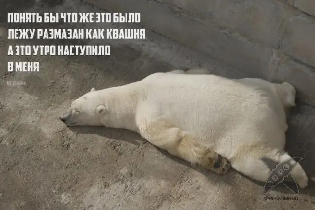 Необычные рифмы