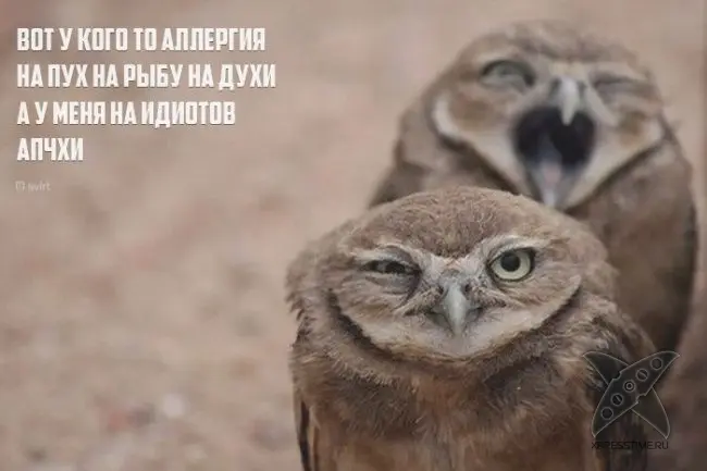 Необычные рифмы