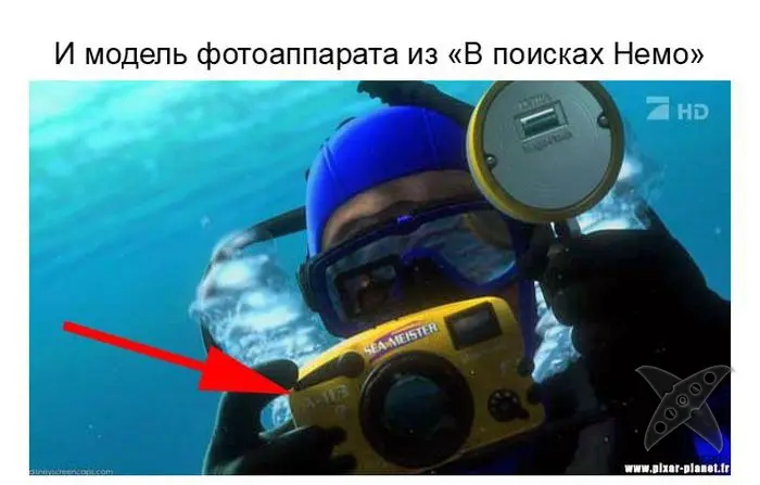 Секретный код от аниматоров