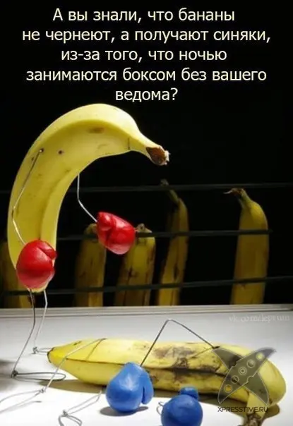 Отборный юмор 8