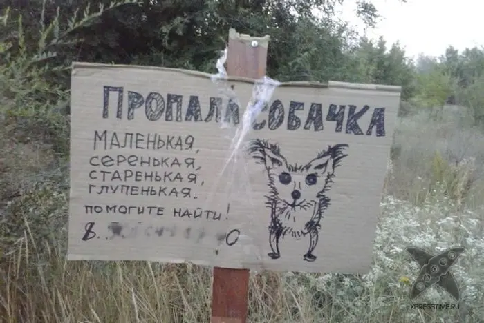 Отборный юмор 8