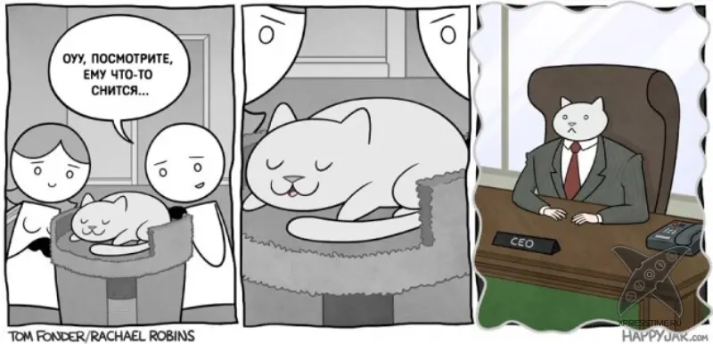 Кот - бизнесмен