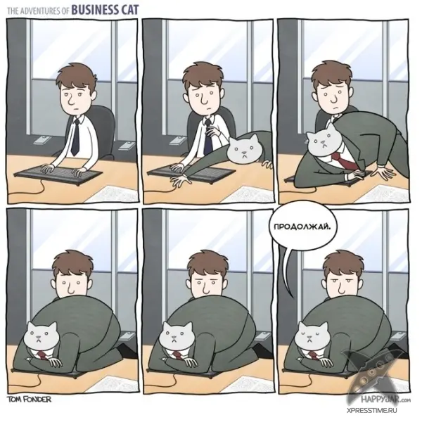Кот - бизнесмен
