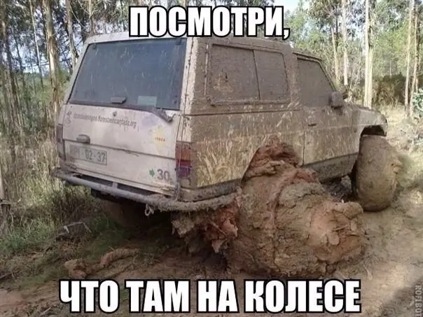 С просторов..-1