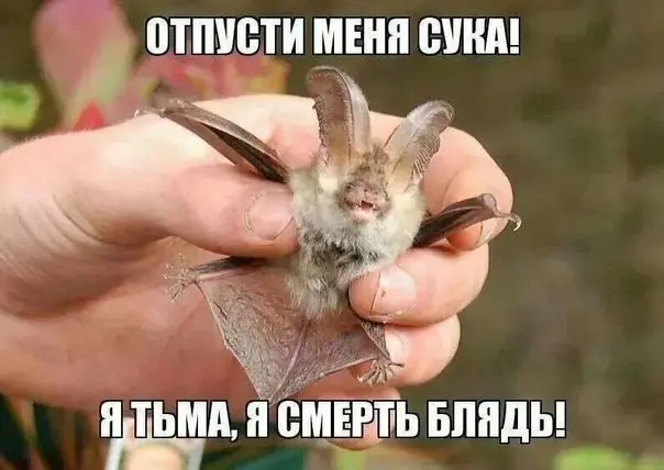 С просторов..-21
