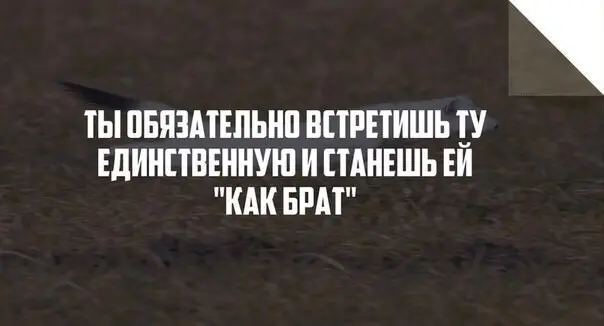 С просторов..-22