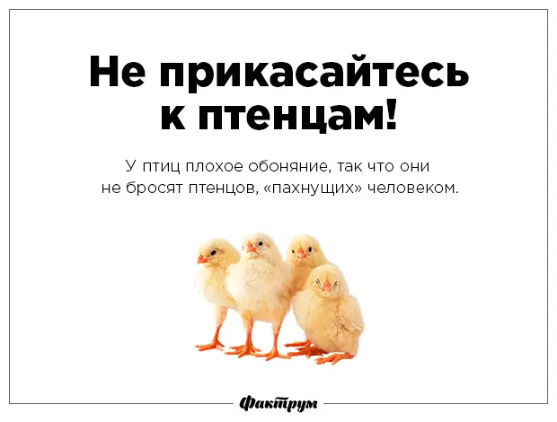 Разрушаем мифы-16