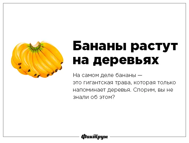 Разрушаем мифы-8