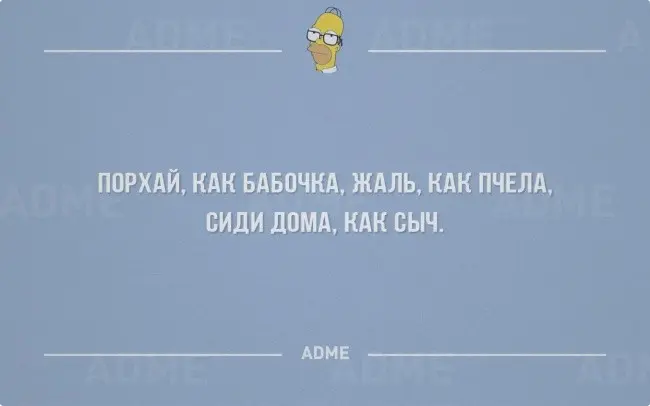 Про работу и отдых от нее-21