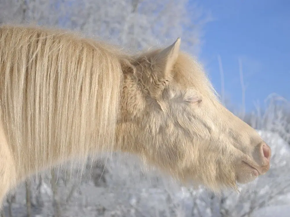 Лучшие снимки National Geographic-13