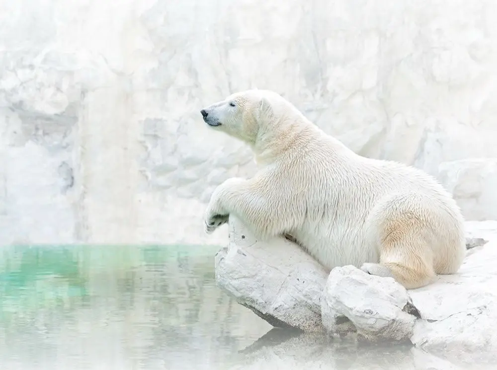 Лучшие снимки National Geographic-15
