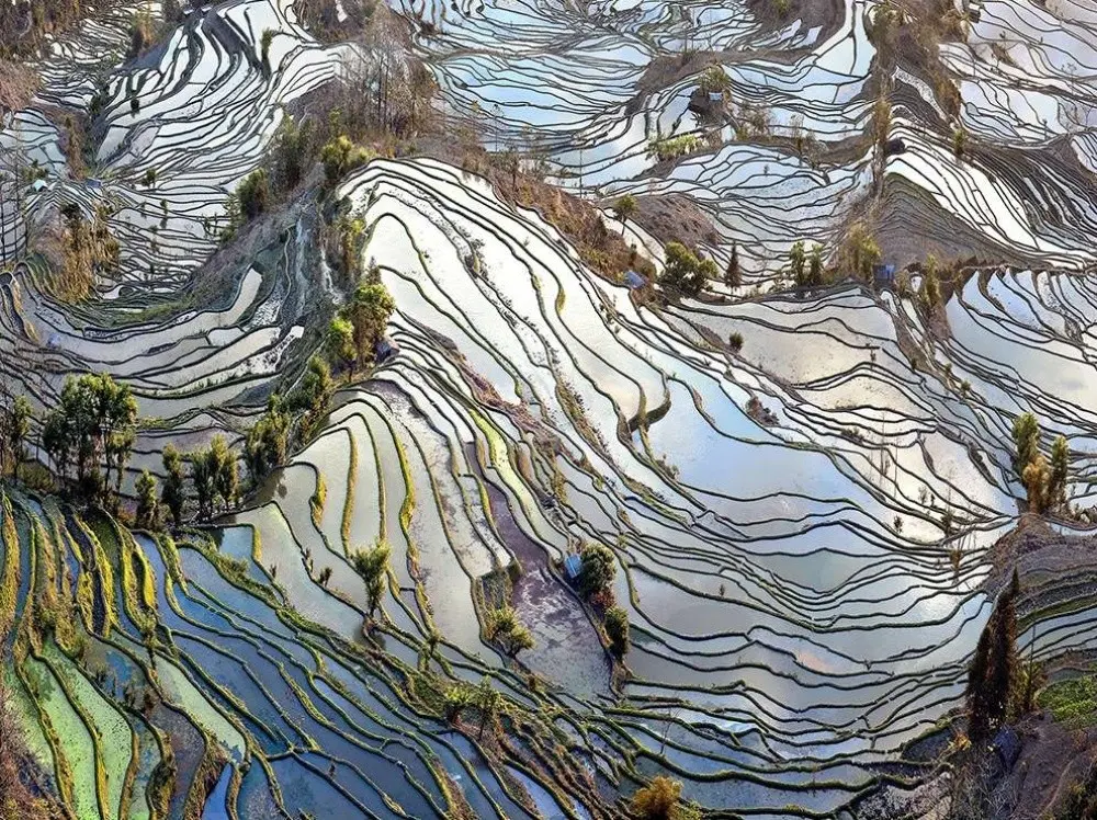 Лучшие снимки National Geographic-20