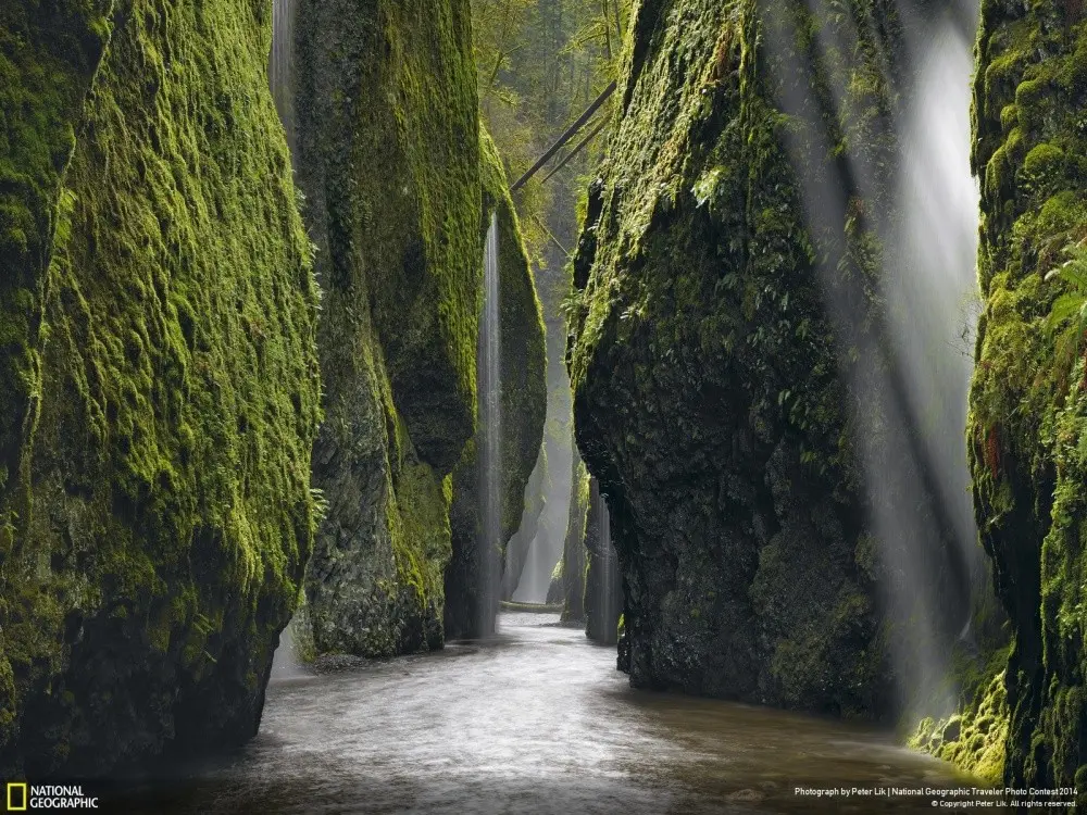 Лучшие снимки National Geographic-27