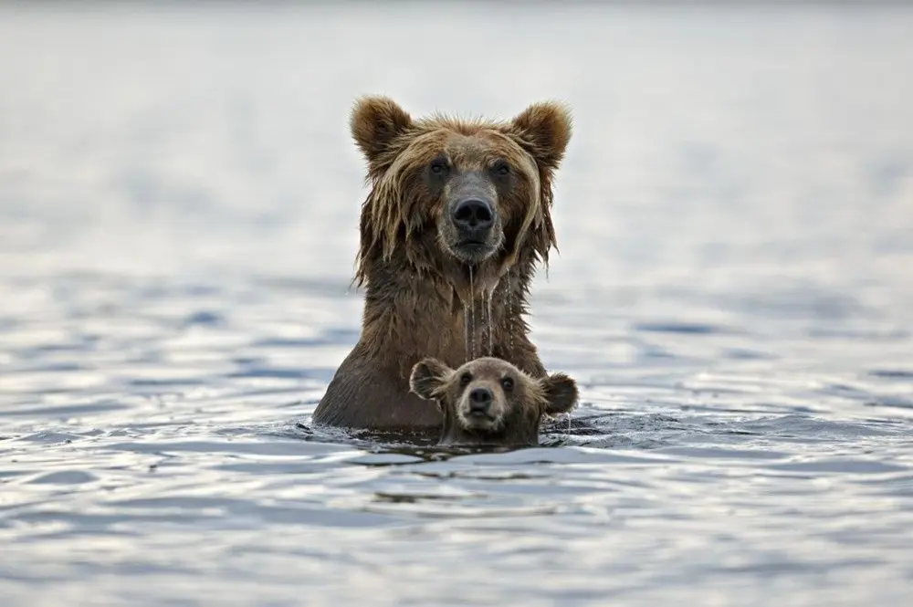 Лучшие снимки National Geographic-5