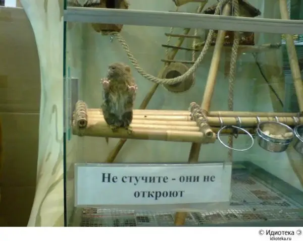 Made in Russia-10