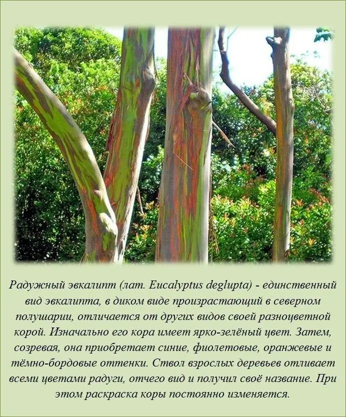 Знали ли вы?-16