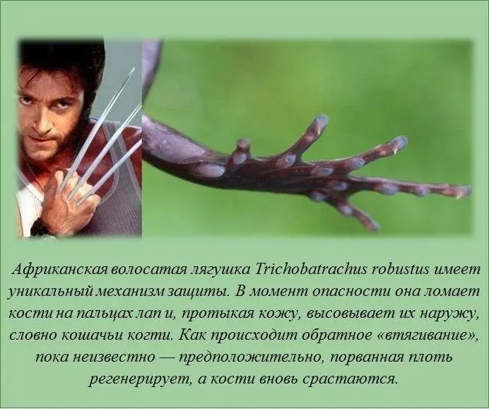 Знали ли вы?-2