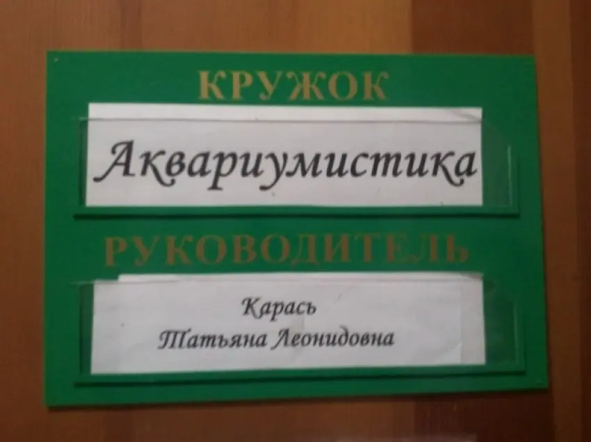 Выбор профессии по фамилии-22
