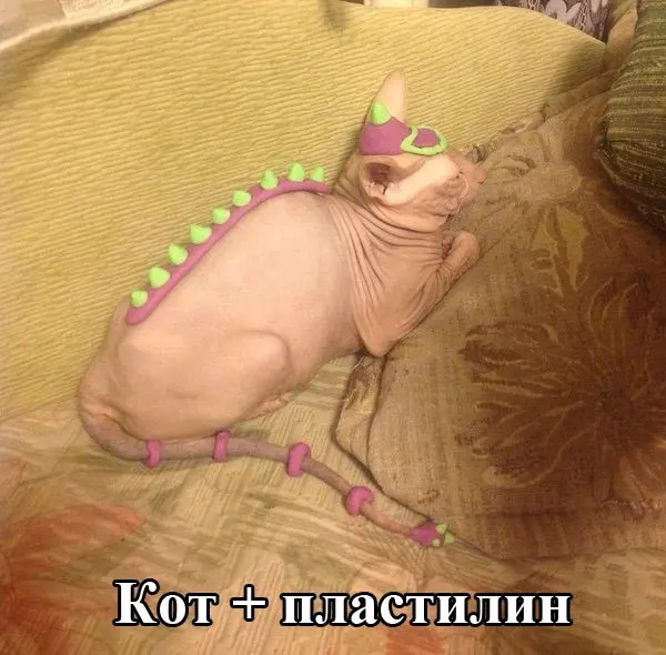Отборный юмор 9-2