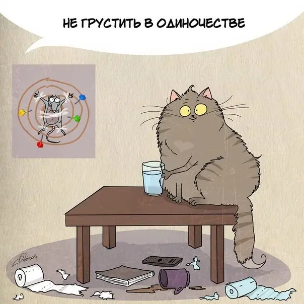 Чему следует поучиться у кошек-1