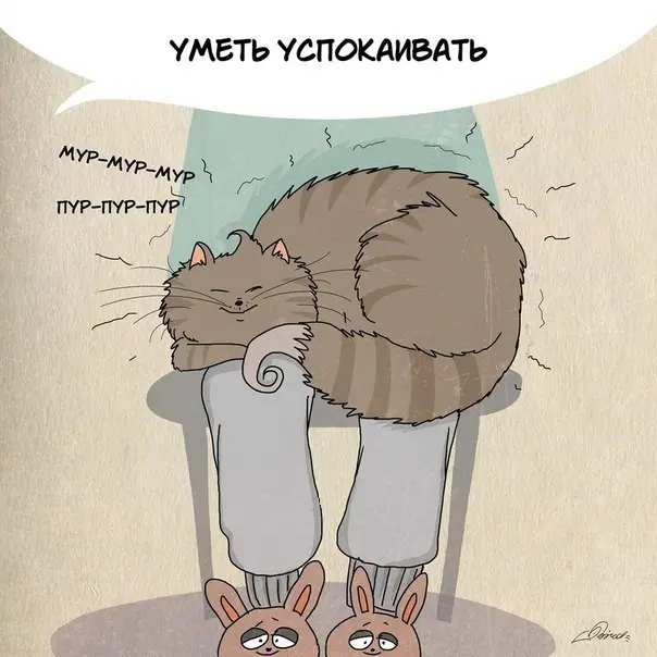 Чему следует поучиться у кошек-10