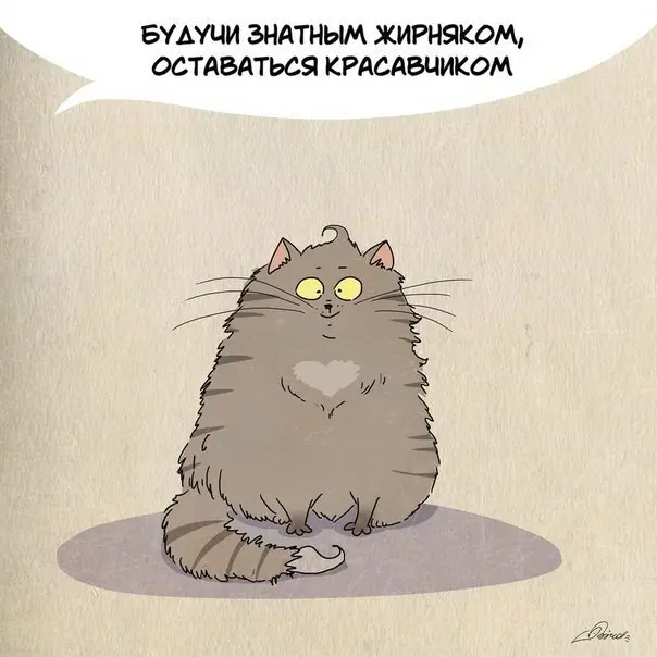 Чему следует поучиться у кошек-2