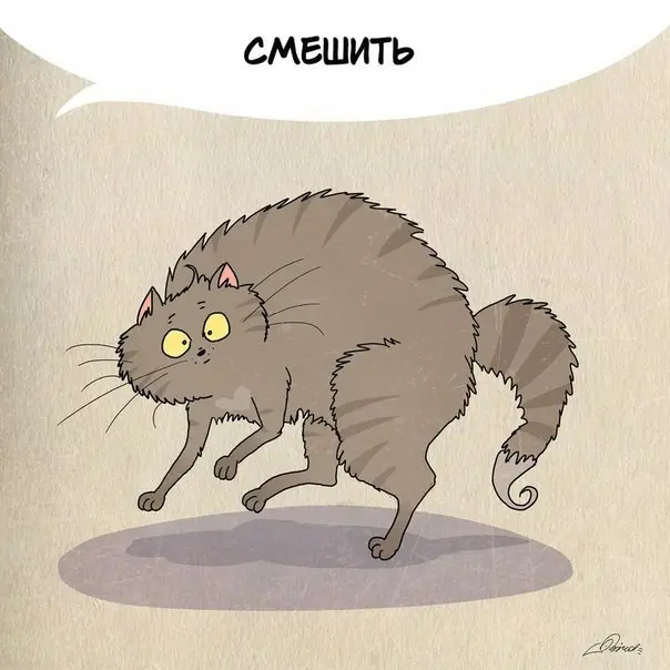 Чему следует поучиться у кошек-7