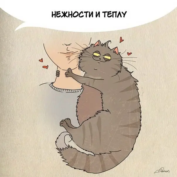 Чему следует поучиться у кошек-9