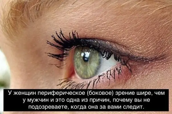 Всячина-38