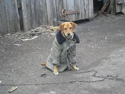 Всячина-74