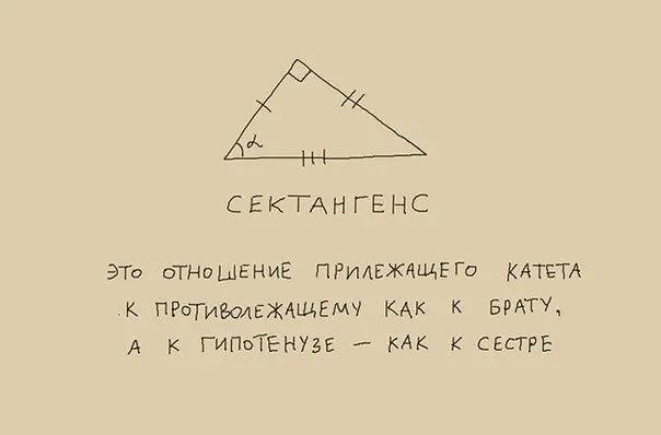Забавная фотоподборка-17