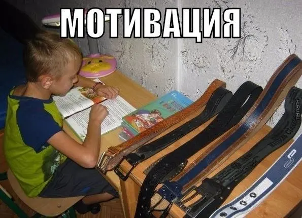 Забавная фотоподборка-53