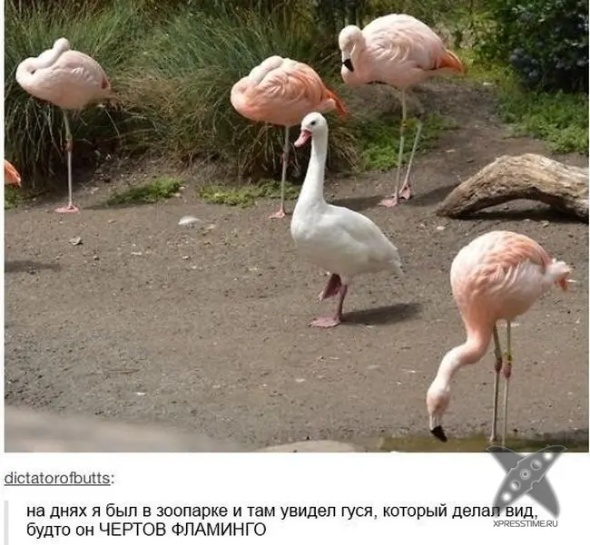 Отборный юмор 7