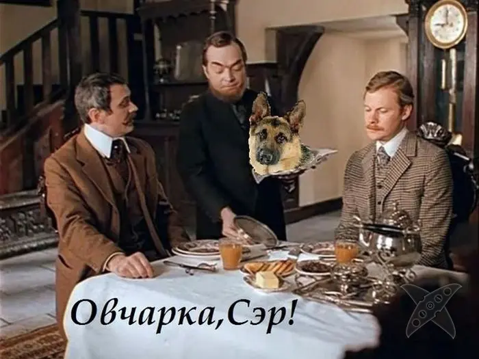 Отборный юмор 7