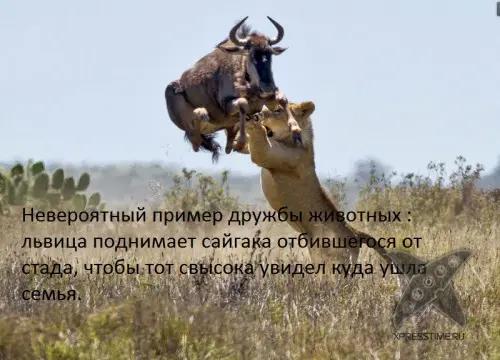 Отборный юмор 7
