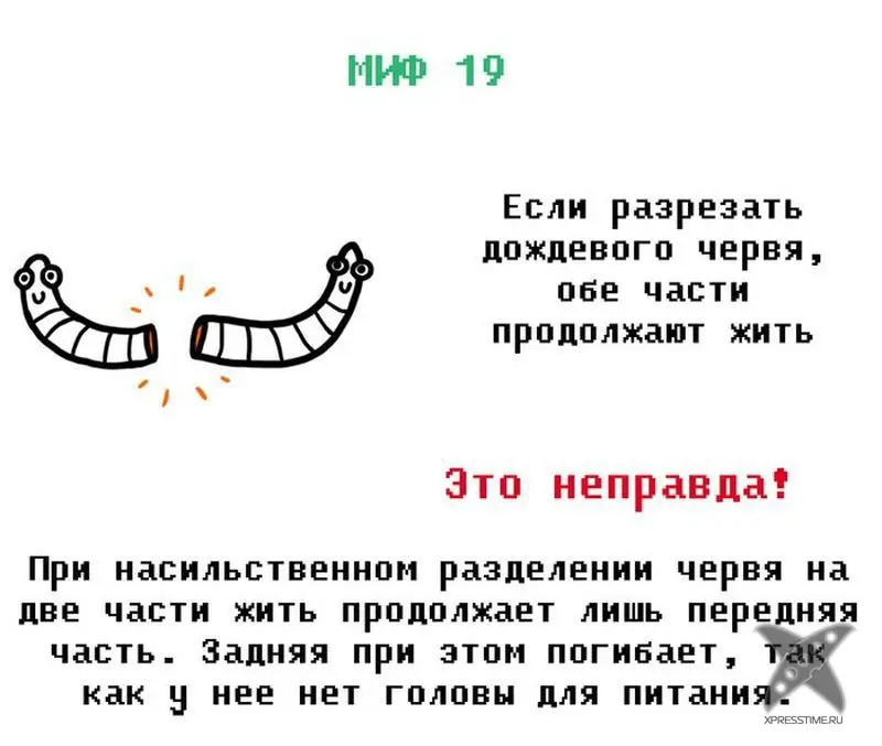 Мифы из нашего детства
