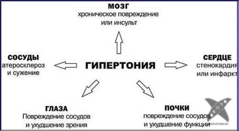 Как продлить жизнь?