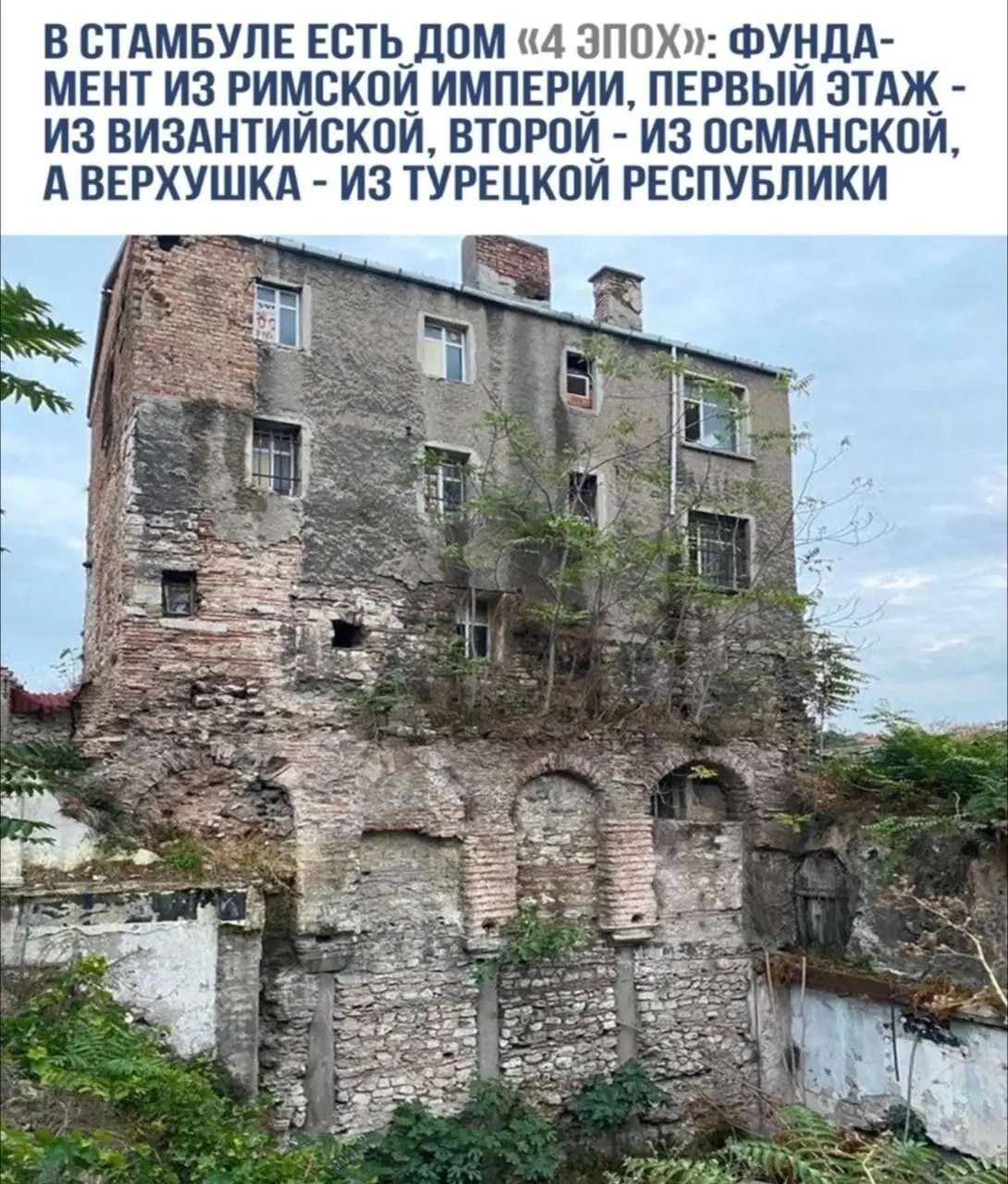 Из сети